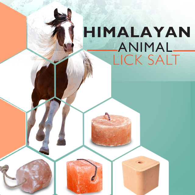 Animal licks
